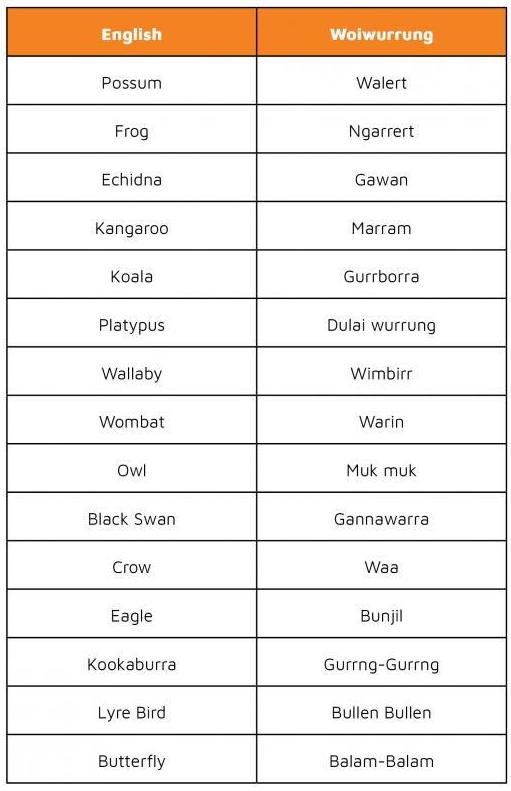 wurundjeri-language-deadly-story